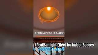 T Series Skylight – Mô phỏng ánh sáng mặt trời thông minh với độ sáng và màu sắc tự động