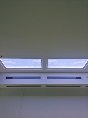 Mua High Power 2ft LED Skylight Panel 150W AC100-240V Mesh 5.0 Và DALI Control Sunrise To Sunset Effects sản xuất trực tuyến