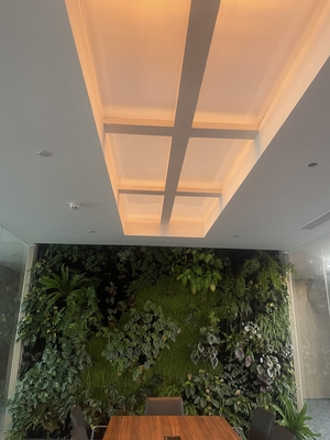 Mua Rectangle Faux Skylight Panels 220mm Highness Customizable Solutions sản xuất trực tuyến