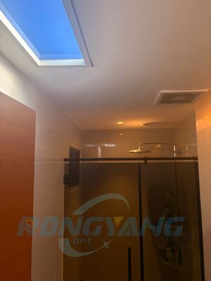 mua Đèn trời nhân tạo 80W với Tuya, DALI & Zigbee Smart Control Custom OEM Factory sản xuất trực tuyến