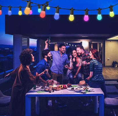 2700K Christmas RGB String Light Điều khiển bằng giọng nói Ổn định Thiết thực