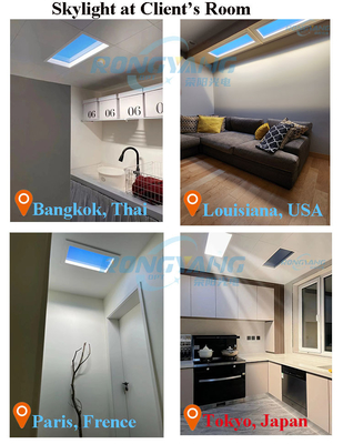 50W đèn pha LED giả cho dự án sinh học và tiêu chuẩn 95 RA Cri