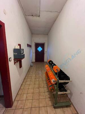 Tên
